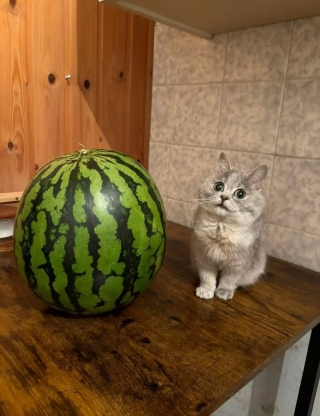 Ralak